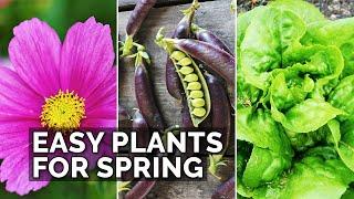 6 Easy Plants to Grow in Your Spring Garden  