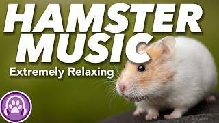 Music for Hamsters - Music to Relax Your Hamster at Night