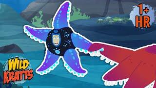 Creature Battles! | Every Creature Showdown Season 4 | New Compilation | Wild Kratts