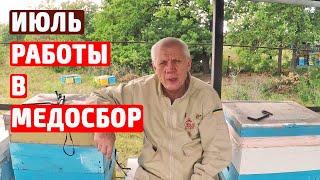 Медосбор. Что делаем во время главного медосбора.