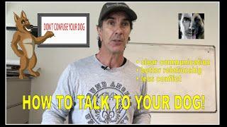 How to TALK to YOUR DOG - Robert Cabral - Dog Training Video