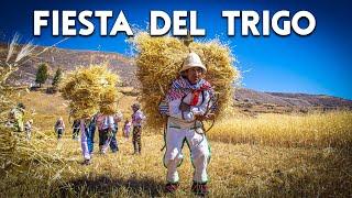 En este pueblo aún se conserva una COSTUMBRE ANCESTRAL | Fiesta de la Siega, HUARIPAMA | DOCUMENTAL