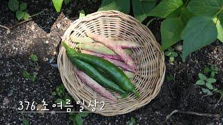 376.초여름일상,감자치즈부침개.도시락반찬이었죠.강낭콩수확 나의 아침빵