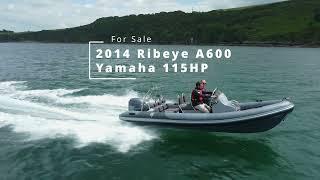 2014 Ribeye A600  with Yamaha 115HP For Sale - Plymouth