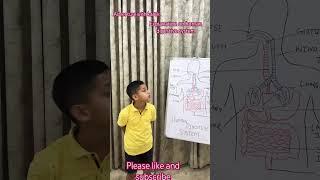 "Food’s Adventure Inside Us! | Science Fun with Kartik 1101"#shorts #education #shortvideo #kids