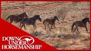 Clinton Anderson - Outback Adventure 1 of 14