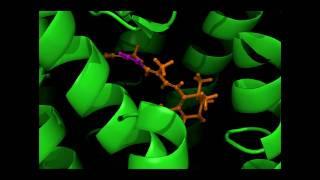 The Molecular Basis of Vision - Computational Chemistry
