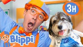 Blippi Meets a Special Dog and Hospital Helpers!  Inspiring Heroes | Educational Videos for kids