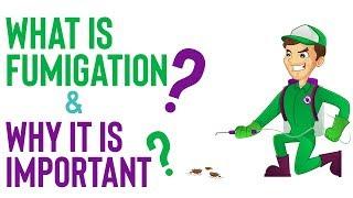 What is Fumigation and Why it is Important? [ Benefits of Fumigation ]