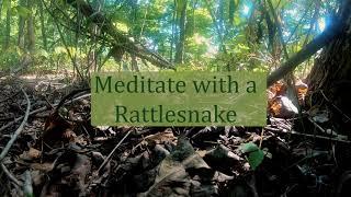 Meditate with a Rattlesnake