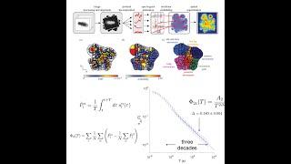 William Bialek: Finding evidence for scale invariance in animal behavior