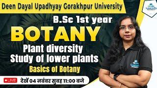 Plant Diversity Study of lower Plants (Basics of Botany) B.Sc 1st year | Ankita Ma'am | By Learnify