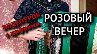 РОЗОВЫЙ ВЕЧЕР - ЮРИЙ ШАТУНОВ (ЛАСКОВЫЙ МАЙ). На ГАРМОНИ. ВИДЕОУРОК С ЦИФРАМИ