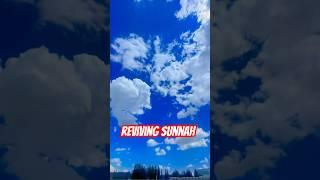 Reviving the Sunnah. #islamic_video #reviving #sunnah #mohammadpbuh #peace  #educationalvideo