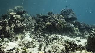 Underwater Time-Lapse: 50 Minutes at North Point