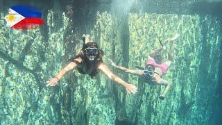 El Nido, the most famous place in PALAWAN ️