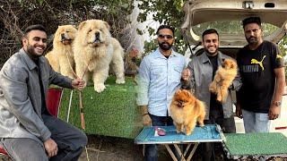 Punjab’s Biggest Dog show  Patiala Dog show 2024