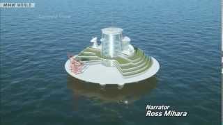 The Space Elevator