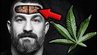 What Happens to Your Brain and Body on MARIJUANA? | Andrew Huberman