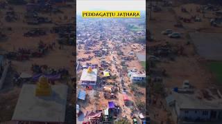 Telangana Peddagattu jathara #2025 #telangana #trending