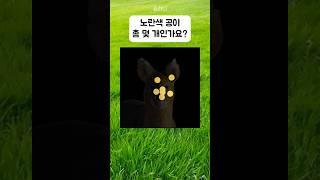 오직 상위1%만 보인다는 동체시력 테스트 퀴즈