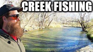 I Tried Fishing in a COLD Winter Creek (Fishing in a Small Creek)