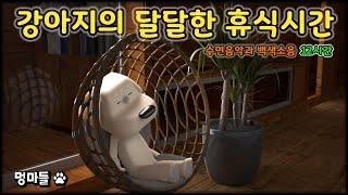 #멍마들  강아지의 달달한 휴식시간 강아지의 불안을 진정시키는 영상(12시간) - A sweet resting time for your dog