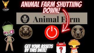 Drip Network Animal Farm D Day coming get your assets before this date