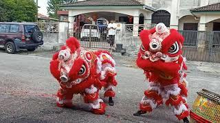 2020CNY lion dance 农历新年2020的舞狮