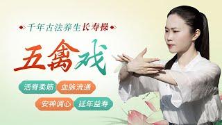 《五禽戏》第1节 古法秘传长寿操，恢复身体元气【学国学网】