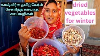 காஷ்மீர்ல தமிழ்கேர்ள் சேகரித்த காய்ந்த காய்கறிகள் / dried vegetables for winter #kashmir#vlog#tamil