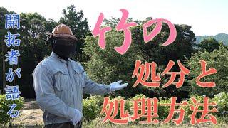 竹の処分や処理方法について【山林での竹処理問題を開拓者が解説】