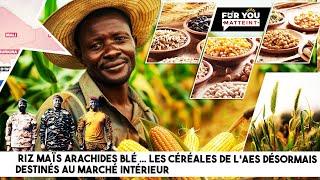 RIZ MAÏS ARACHIDES BLÉ ... LES CÉRÉALES DE L'AES DÉSORMAIS DESTINÉS AU MARCHÉ INTÉRIEUR