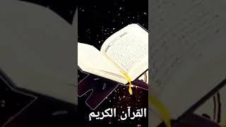 Beautiful Qur'an Recitation #quran #shorts