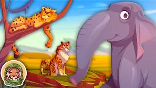 Some Animals That Should Not Be Kept In Captivity! | Animal Songs For Kids | KLT WILD