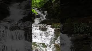 Tranquil waterfall scenery in the middle of forest  Carpathian, Ukraine #shorts #nature#meditation