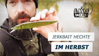 Jerkbait Hechte im Herbst - Unterwegs mit der Tailwalk Heavy Kombo