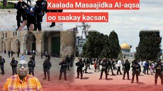 SUBAX: Xaalada Masaajidka Al-aqsaa oo saakay kacsan, yaa muslimiin ayay maree,  xalay ciidanka Asra