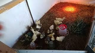 23 июня, всем большое спасибо за поздравления и пожелания