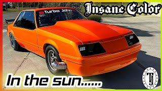 TurboJohn Mustang.... New Color in the SUN..... AMAZING, I LOVE it!!!