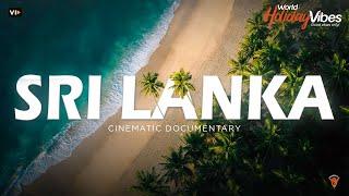 Serendipity Cinematic Documentary Video 4K | World Holiday Vibes