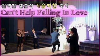 Can't Help Falling In Love 창원뮤지컬축가