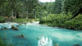 Pemandangan indah arus sungai, tasik dan bunyi alam semulajadi yang menyenangkan.