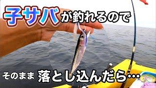 大物が釣れた！【二馬力ボートで大物連発！】