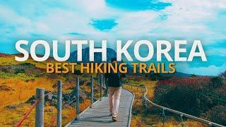 Best South Korean Hiking Trails: Adventure Awaits!