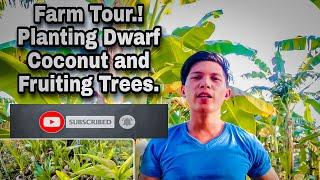 Kalons Farm TOUR. Dwarf Coconut and Fruiting Trees planting. #farm #farmlife #youtube #vlog #video