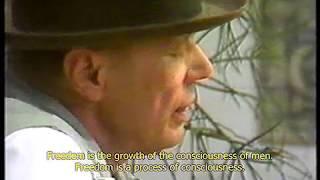 Joseph Beuys - Eingeschlossensein als Möglichkeit zur Freiheit