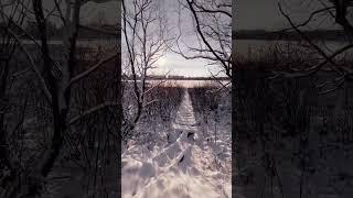 #winter #beautiful #nature #countryside