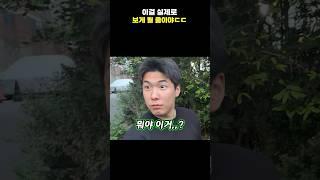 이걸 실제로 보게 될 줄이야ㄷㄷ