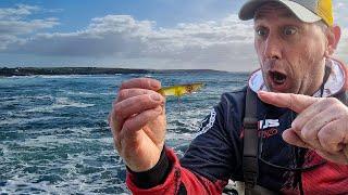 Surface Lure Explained | What Is The Fishus Espetit